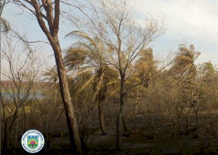 Angélica-Incêndio de grandes proporções em fazenda resulta em multa de mais de 4 milhões