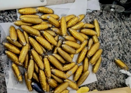 Perícia encontra 78 cápsulas de cocaína no estomago de boliviana que morreu em ônibus
