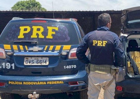 PRF apreende 546 Kg de maconha e recupera veículo furtado