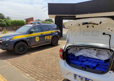 Casal é preso pela PRF com  245 Kg de maconha
