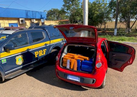 PRF apreende mais de 500 Kg de maconha