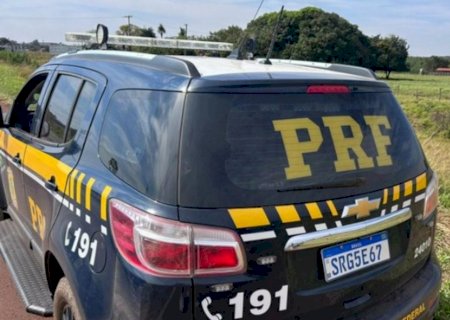 PRF e PM apreendem mais de duas toneladas de maconha