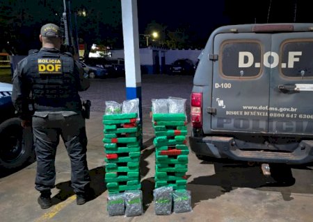 DOF apreende maconha e skunk abandonados às margens de rodovia