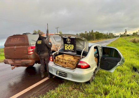 DOF apreende mais de 1,1 tonelada de maconha
