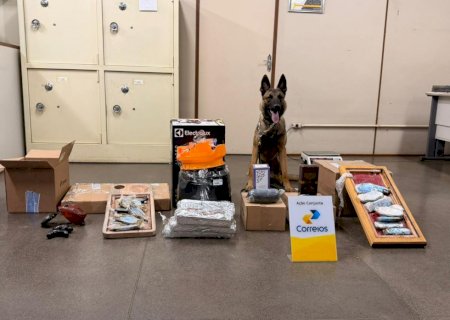Polícia Civil, com apoio dos Correios, identifica drogas em encomendas despachadas