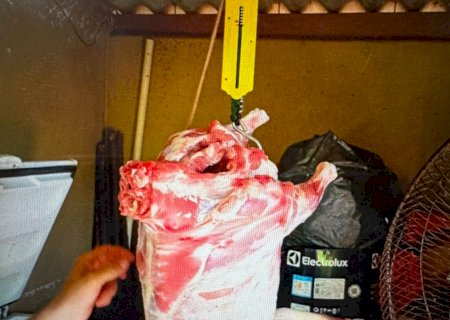 Polícia Civil esclarece furto de carneiros em fazenda da região e prende autor em Anaurilândia
