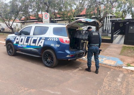 Polícia Militar age com rapidez e prende homem por invasão de residência e tentativa de furto