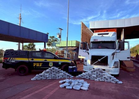 PRF apreende 172 Kg de skunk na BR -262