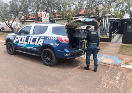 Ivinhema - Polícia Militar atendeu uma ocorrência de ameaça e encaminhou envolvidas à Delegacia
