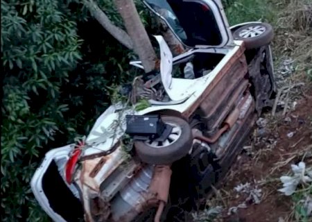 Pitbulls fogem de casa de vizinha e atacam criança de 3 anos