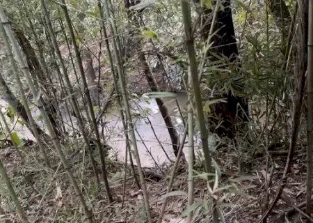 Corpo em decomposição é encontrado às margens de córrego, em Nova Alvorada do Sul